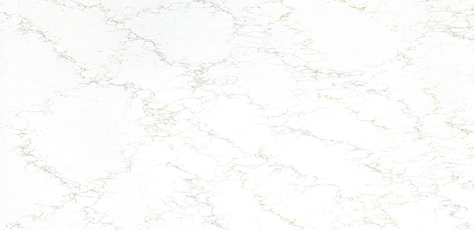 Blossom Mist quartz with luminous white background and delicate grey veining