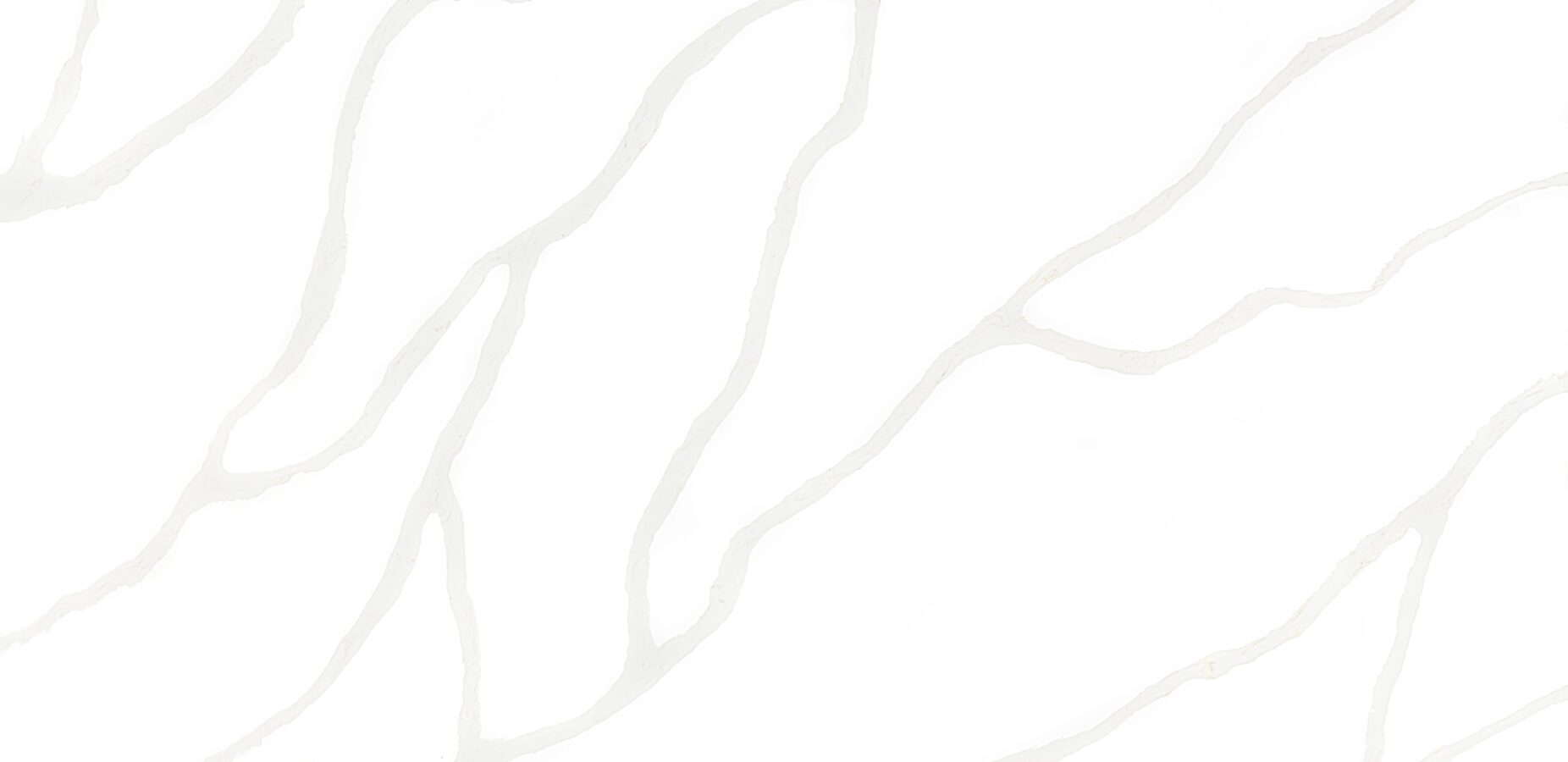 Calacatta Caldise quartz with bold grey and gold veining on a crisp white background